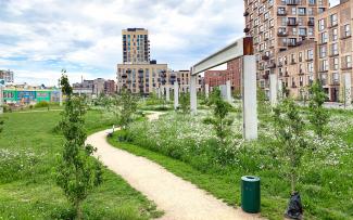 Walking path through meadows with small fruit trees